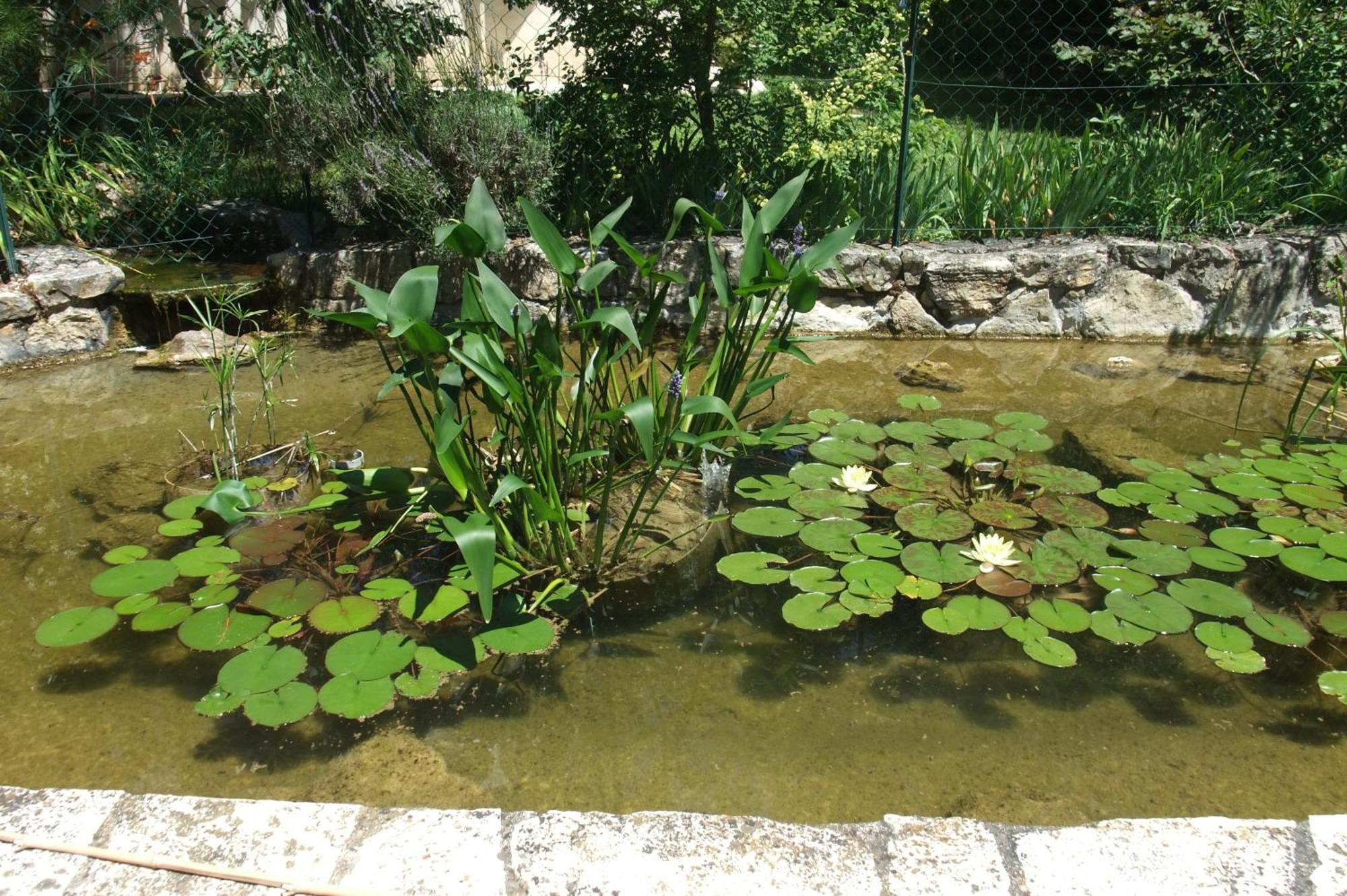 Gite La Paillote Montauroux Kültér fotó
