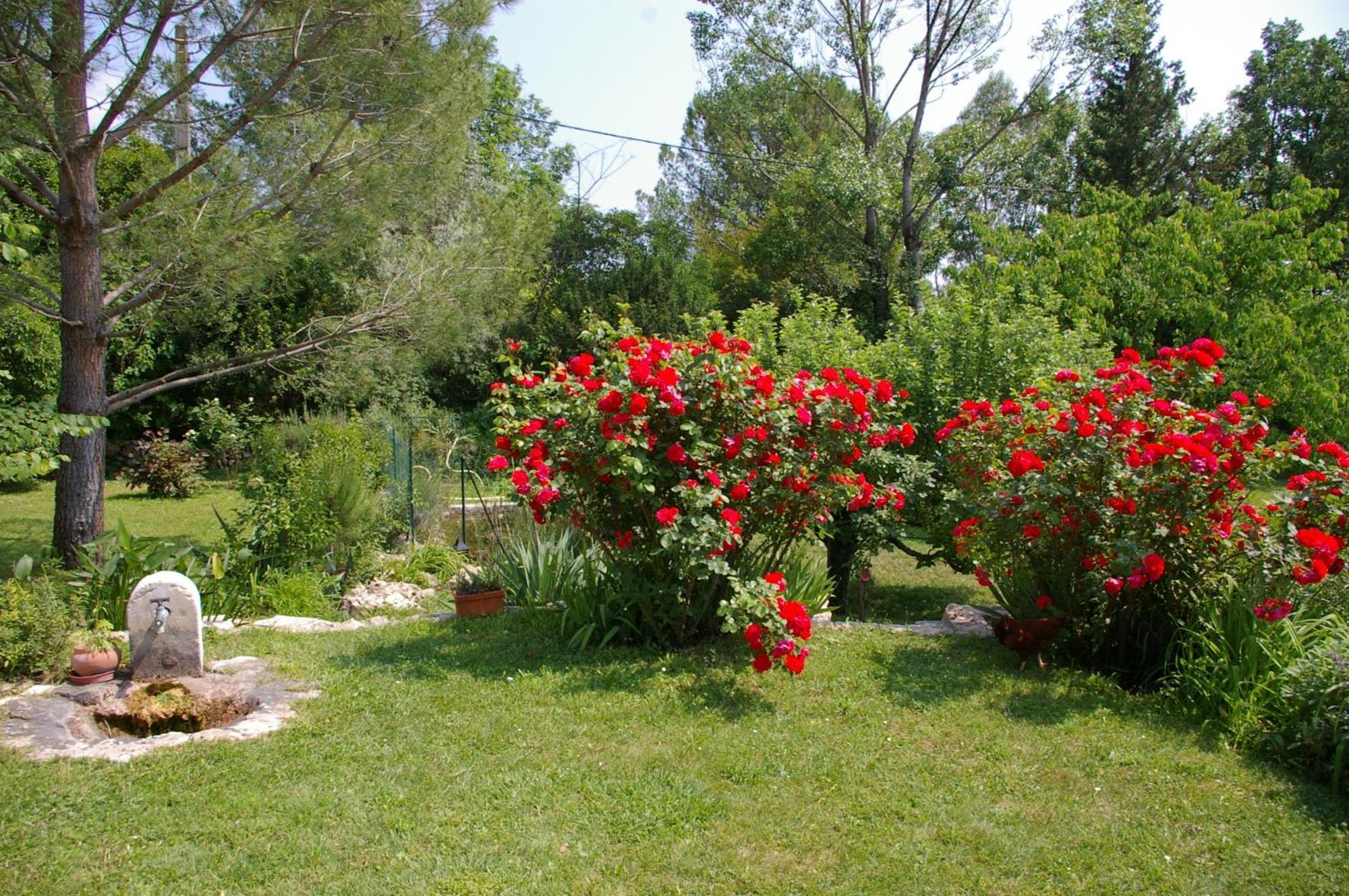 Gite La Paillote Montauroux Kültér fotó